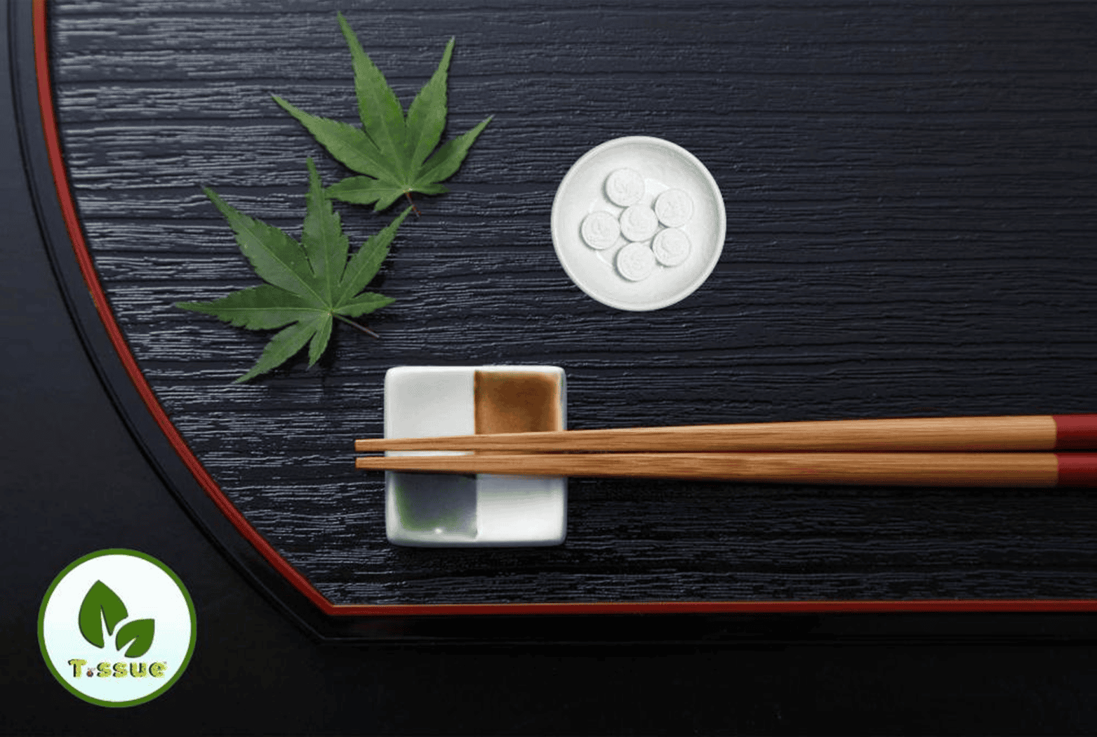 Khăn nén cao cấp T.ssue - Sản phẩm tiện lợi và hữu ích