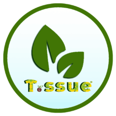 Top các loại khăn nén du lịch được ưa chuộng nhất hiện nay